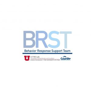 BRST Logo